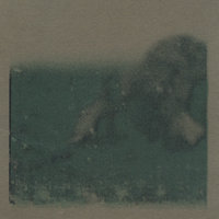 Coelacanth